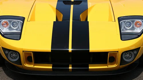 Racing Stripes