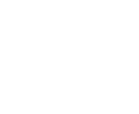 Tiny Bot Logo